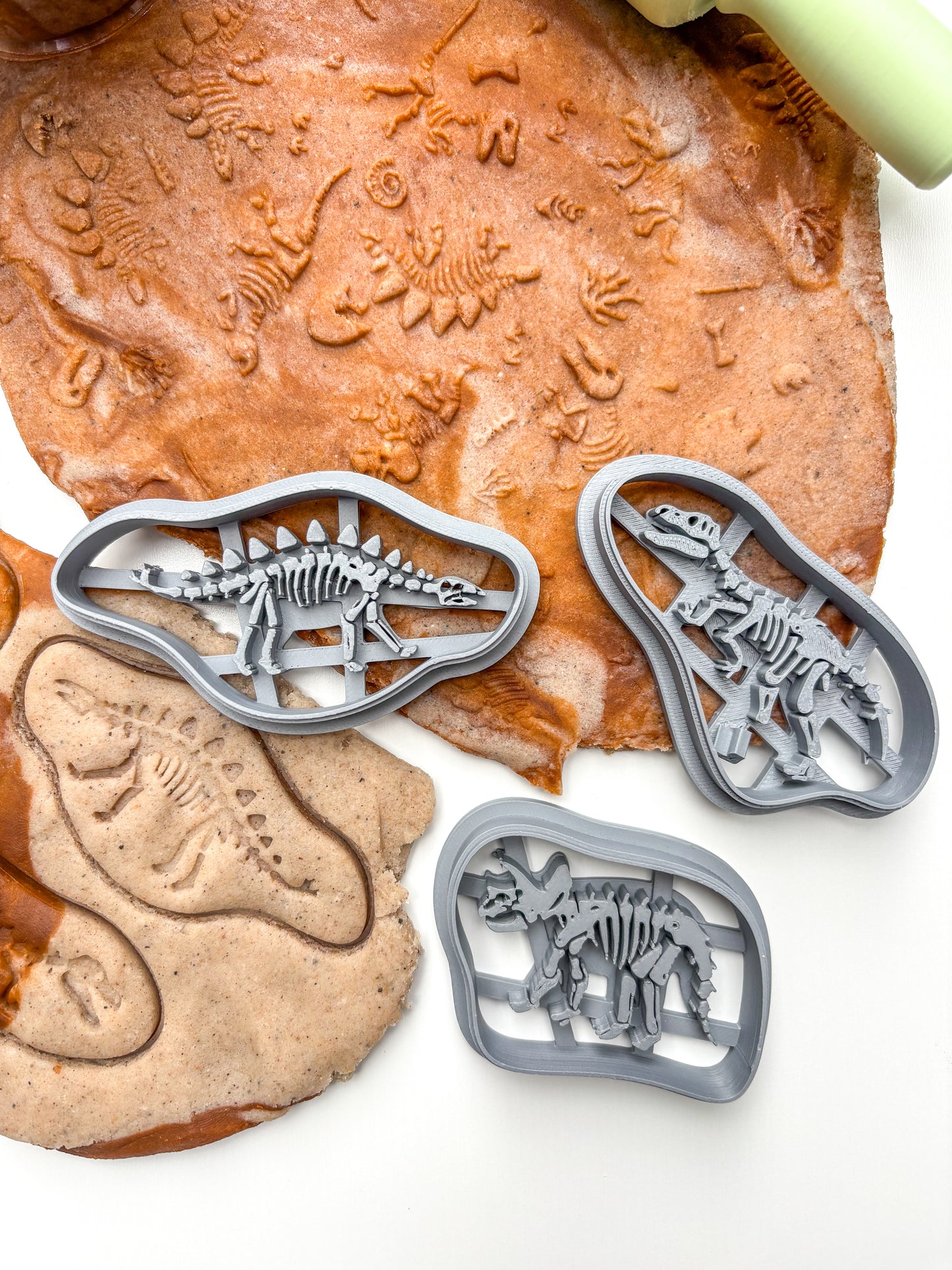 Prehistoric Dinosaur Fossil Kit