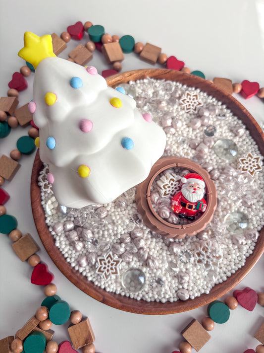 Snowy Santa Stasher Kit