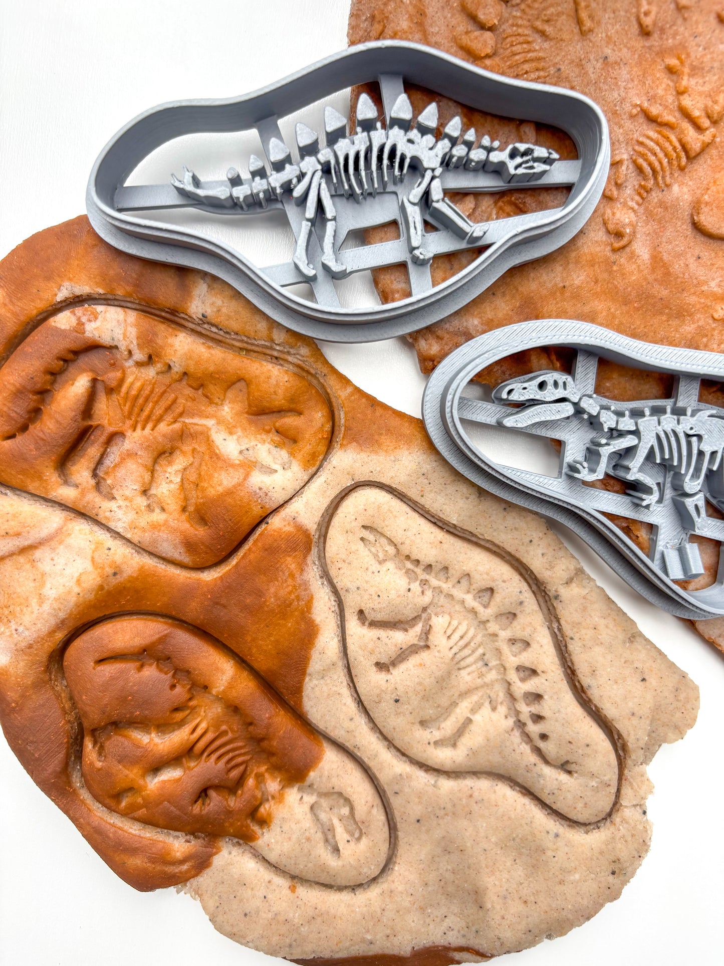 Prehistoric Dinosaur Fossil Kit