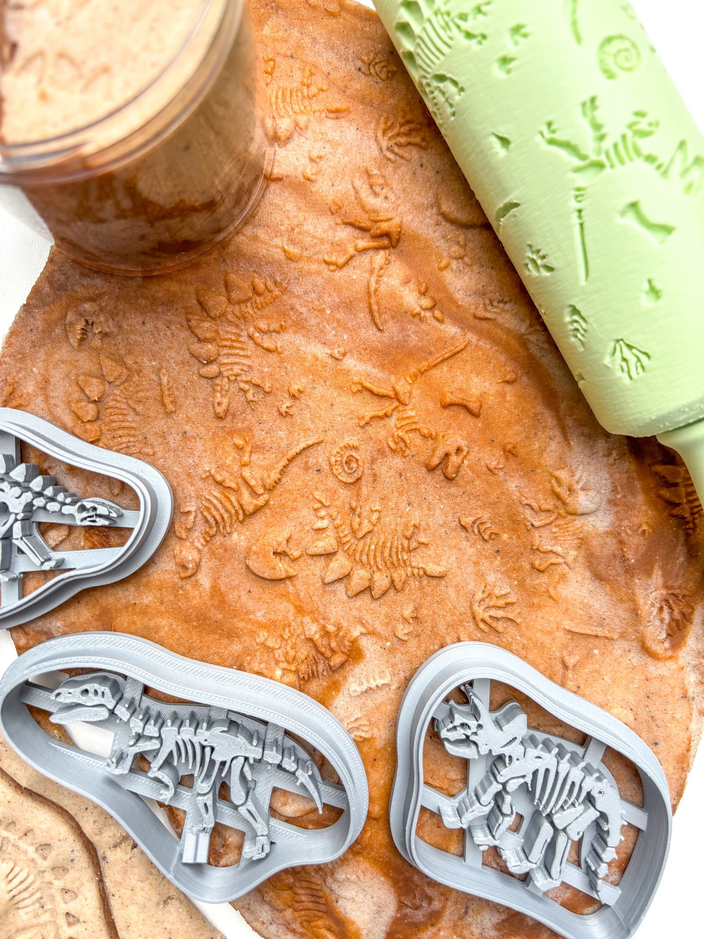 Prehistoric Dinosaur Fossil Kit